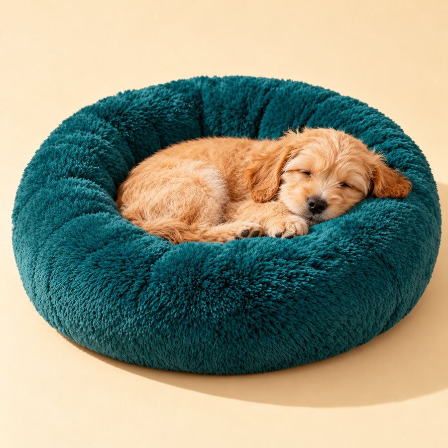 A teal donut bed with a sleeping puppy